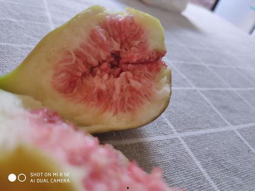 娱乐吃瓜酱密集恐惧症,娱乐吃瓜酱的惊悚之旅