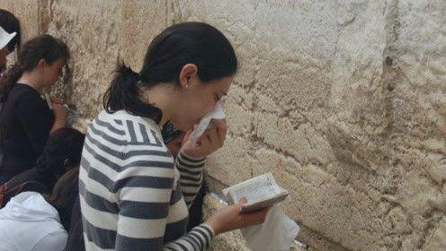 娱乐吃瓜君网红